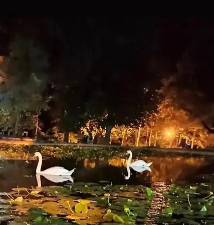 3m Lux Vrnjačka Banja